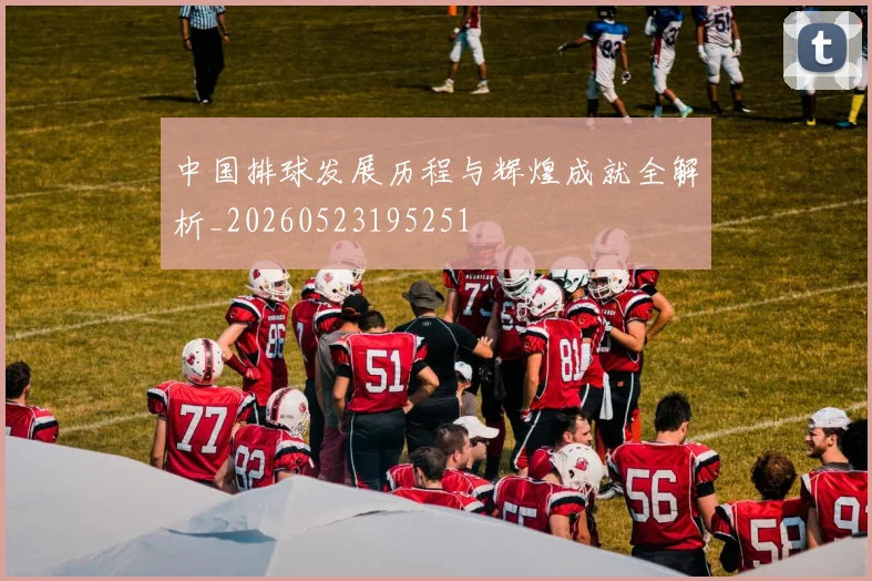 中国排球发展历程与辉煌成就全解析_20260523195251