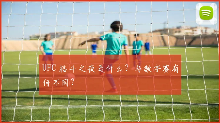 UFC 格斗之夜是什么?与数字赛有何不同?