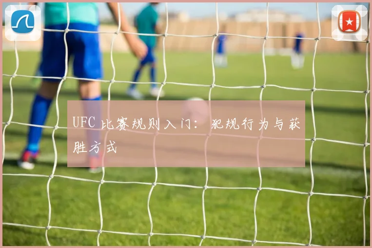 UFC 比赛规则入门:犯规行为与获胜方式